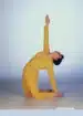 Sistem Joga v vsakdanjem življenju – Paramhans Swami Maheshwarananda, Knjigarna Cangura
