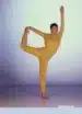 Sistem Joga v vsakdanjem življenju – Paramhans Swami Maheshwarananda, Knjigarna Cangura