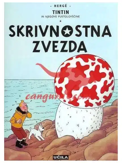 Skrivnostna zvezda - Tintin in njegove pustolovščine, Knjigarna Cangura