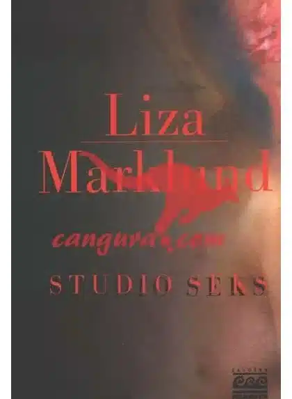 Studio seks - Zbirka Črni Meander – Joel Levy, Knjigarna Cangura