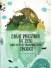Zakaj pingvinov ne zebe – Pavla Hanáčková, Knjigarna Cangura