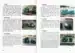 Zdravljenje s kristali – Jucelino Nobrega Da Luz, Knjigarna Cangura
