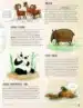 Živali in nevarnosti – Pavla Hanáčková, Knjigarna Cangura