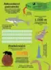 Živalsko kraljestvo – infografike – Jon Richards, Knjigarna Cangura