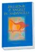 Življenje z angeli in nadangeli, Knjigarna Cangura